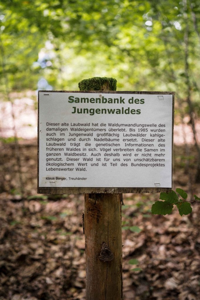 Das Waldgut Jungenwald bei Brotdorf, Saarland,. wurde am 10.09.26 neuer Partner der Wald-Allianz
