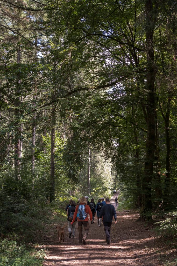 Das Waldgut Jungenwald bei Brotdorf, Saarland,. wurde am 10.09.26 neuer Partner der Wald-Allianz